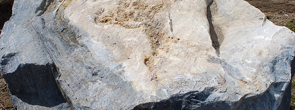 silverthorn landscape supplies