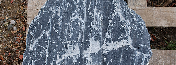 silverthorn landscape supplies