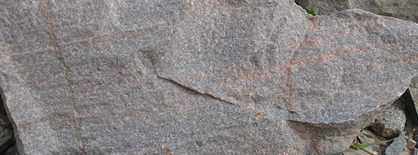 silverthorn landscape supplies