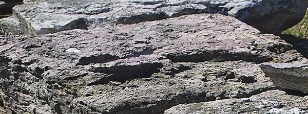 silverthorn landscape supplies