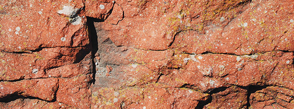 silverthorn landscape supplies