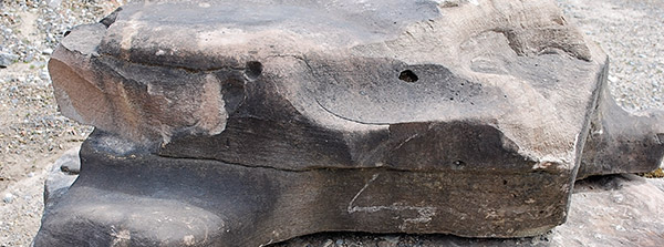 silverthorn landscape supplies