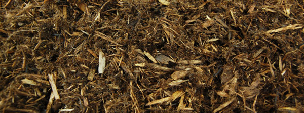 silverthorn landscape supplies