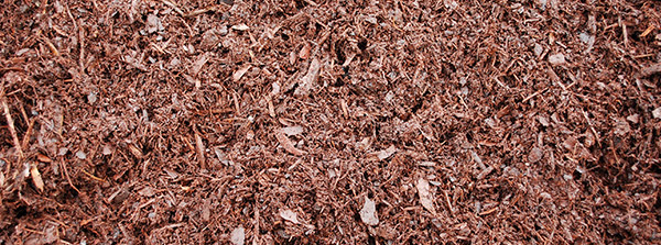 silverthorn landscape supplies