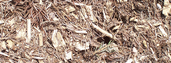 silverthorn landscape supplies