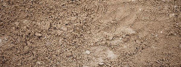 silverthorn landscape supplies