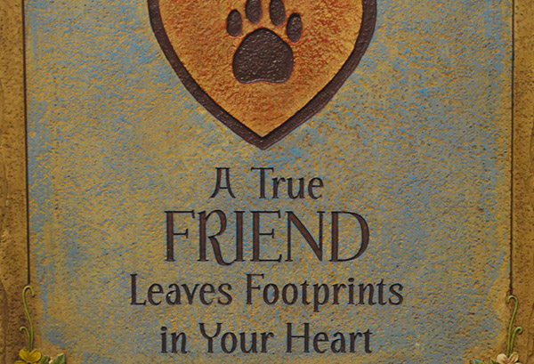 silverthorn landscape supplies