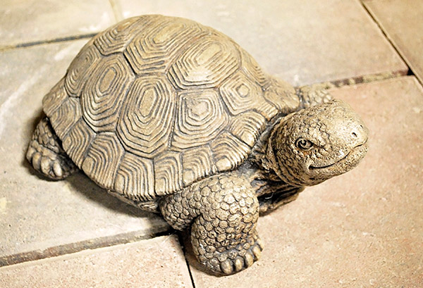 silverthorn landscape supplies