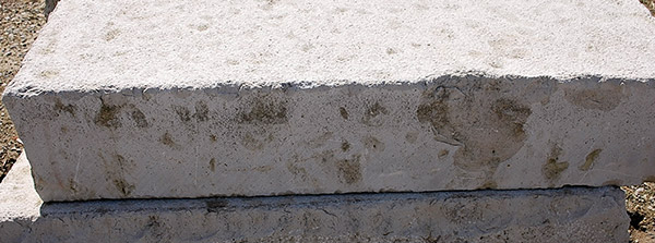 silverthorn landscape supplies