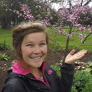 silverthorn landscape supplies